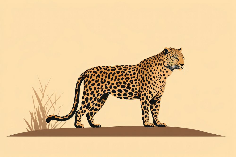 Minimal Flat vector Aesthetic illustration of a simple leopard wildlife cheetah animal.