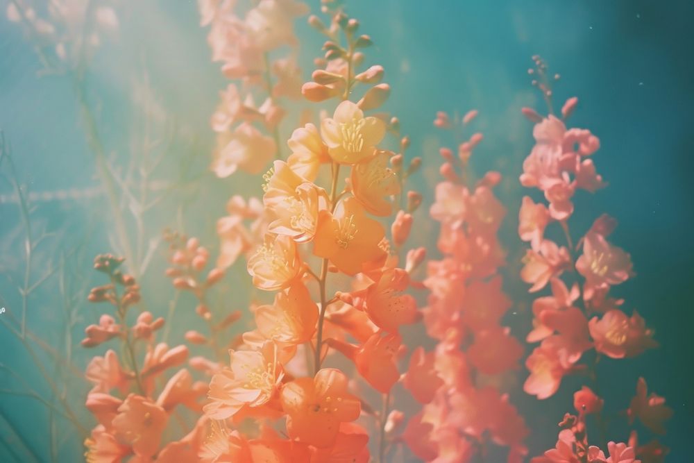 Diving backgrounds outdoors blossom.