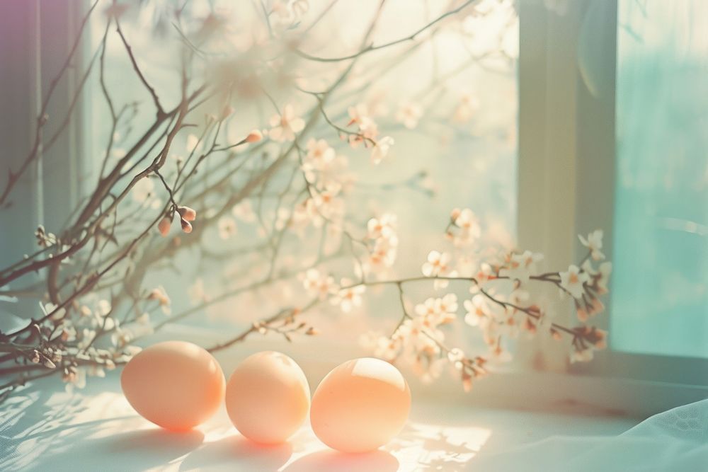 Easter flower window plant.