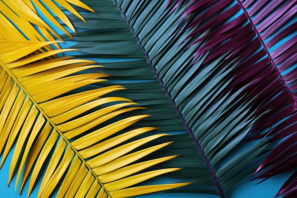 Tropical bright colorful background backgrounds outdoors tropics.