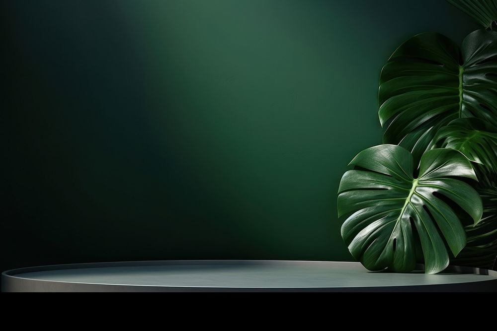Empty table on dark green texture wall background nature plant light.