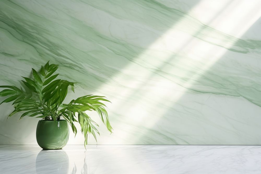 Minimalistic light background green floor plant.