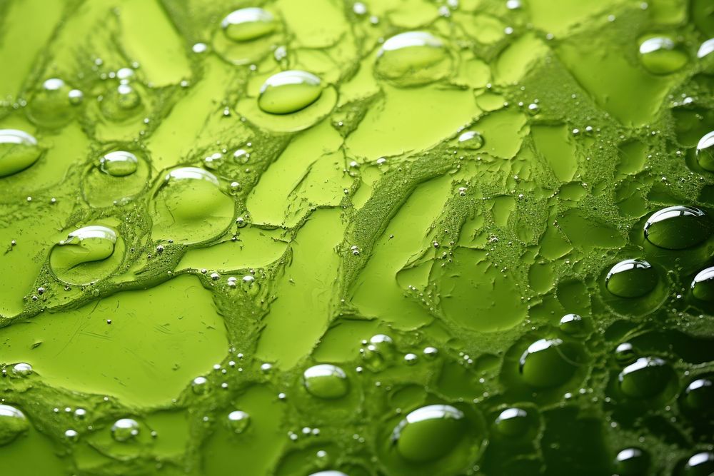 Green tea drink texture leaf condensation transparent.