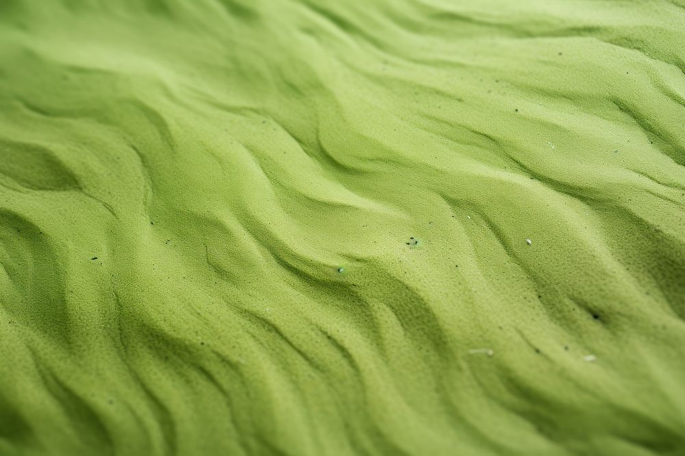 Sand texture green algae backgrounds.