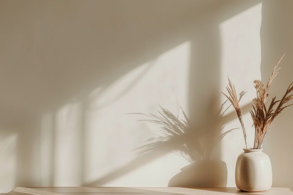 White empty wall with natural light windowsill plant architecture.