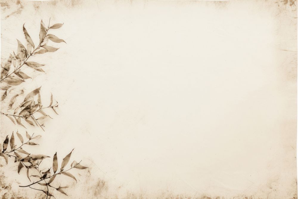 Botanical old paper texture with ripped backgrounds sketch plant.