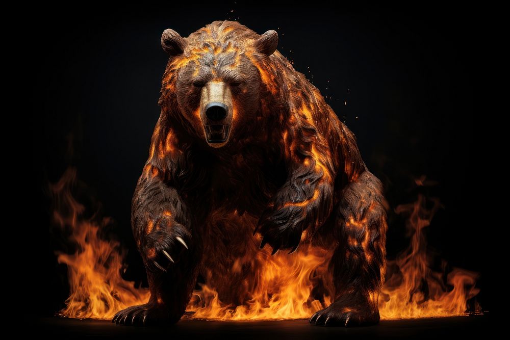 Bear full house fire flame bonfire mammal black background.