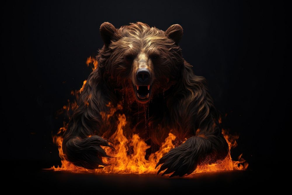 Bear full house fire flame mammal aggression fireplace.