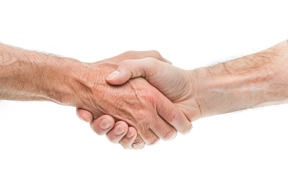 Two hands shaking handshake white background agreement.