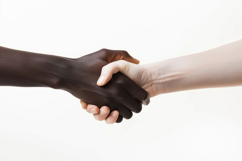 Two hands shaking handshake agreement greeting.