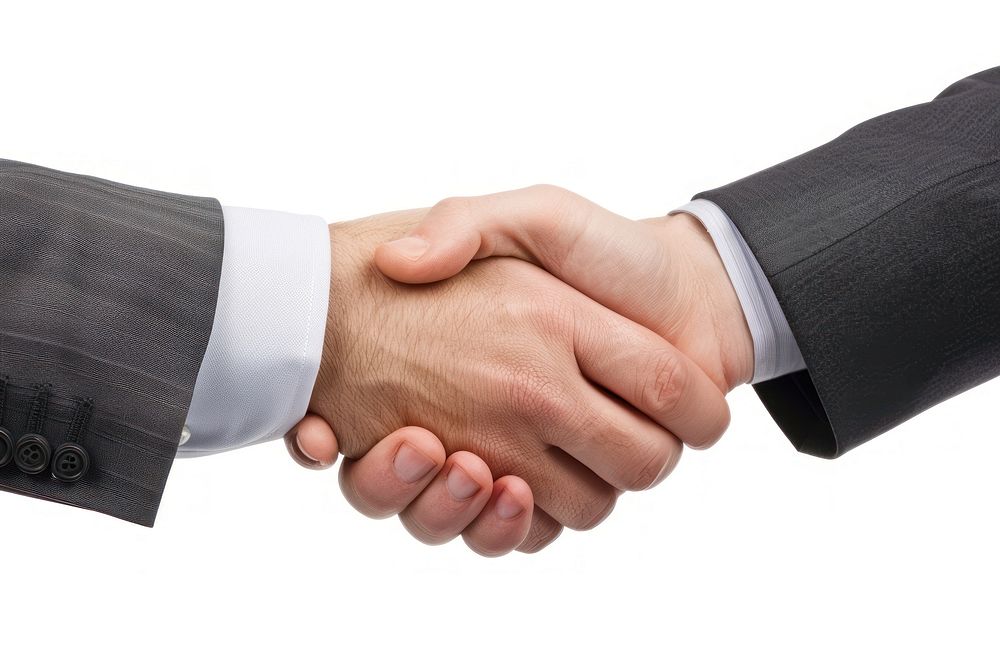 Two hands shaking handshake success adult.