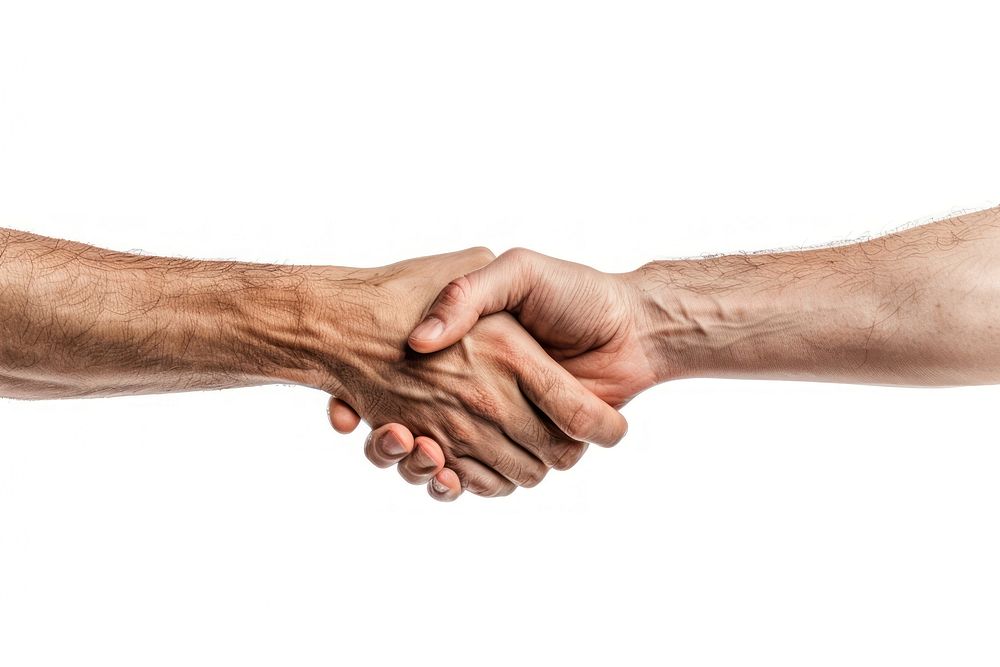 Two hands shaking handshake white background togetherness.