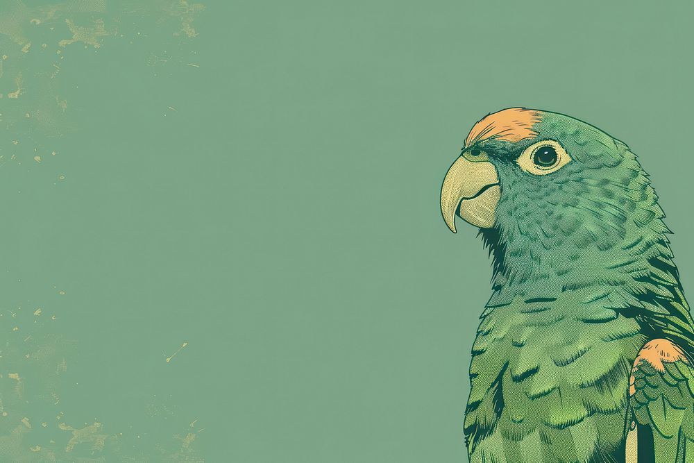 Parrot animal green bird.