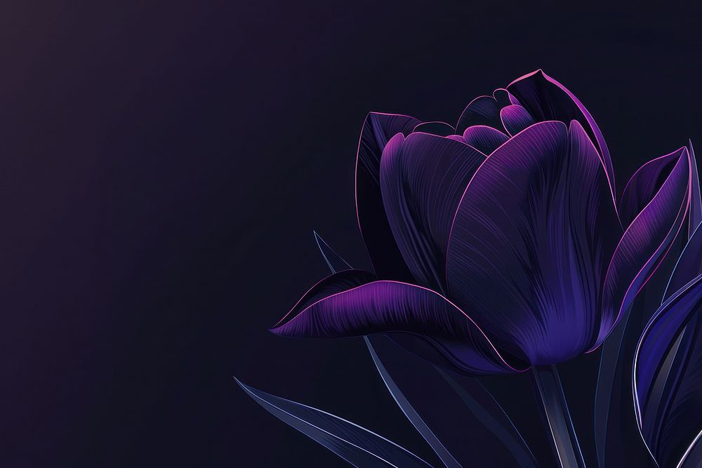 Tulip purple inflorescence copy space.