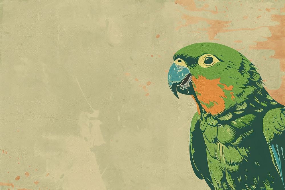 Parrot animal green bird.