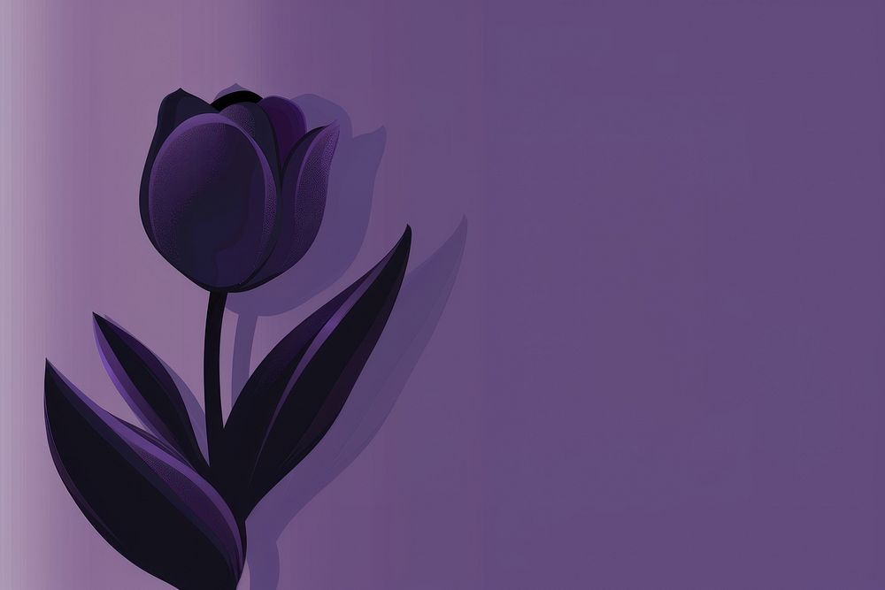 Tulip purple tulip backgrounds.