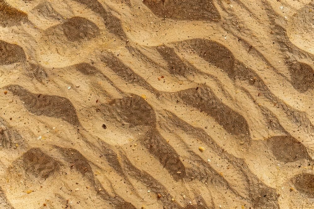Topography pattern on brown sand backgrounds outdoors nature.