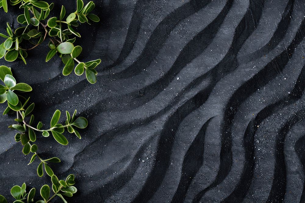 Wishbone pattern on black sand backgrounds outdoors nature.