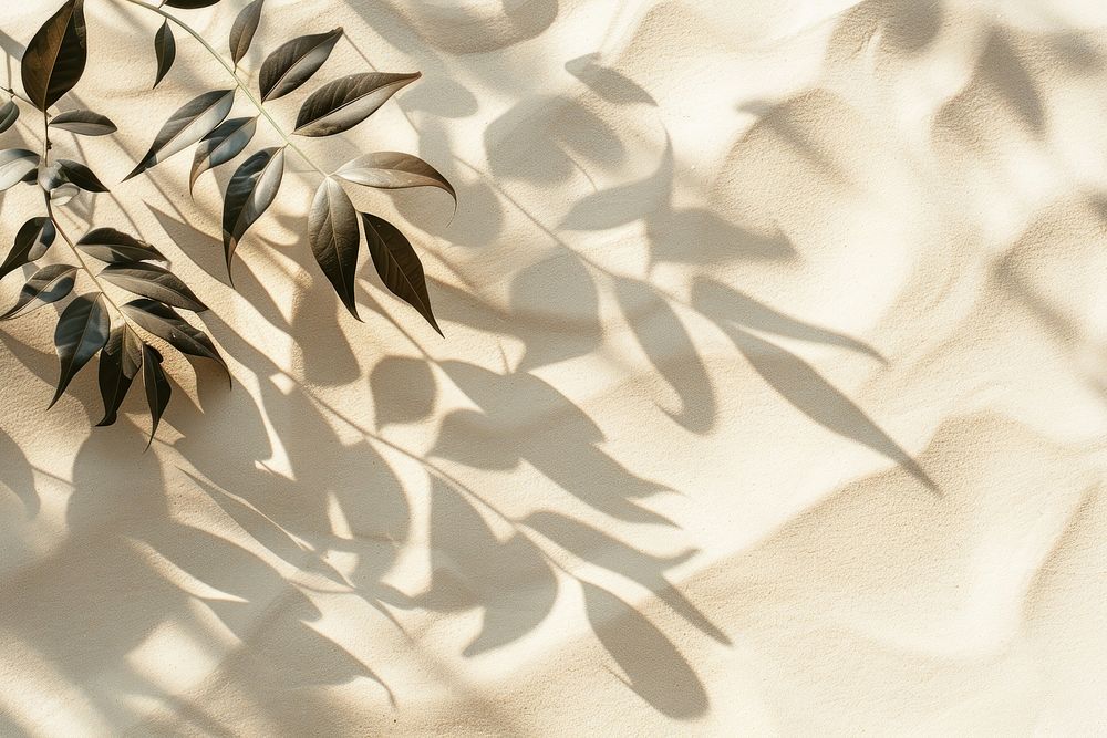 Leaf shadows on beige sand backgrounds outdoors texture.
