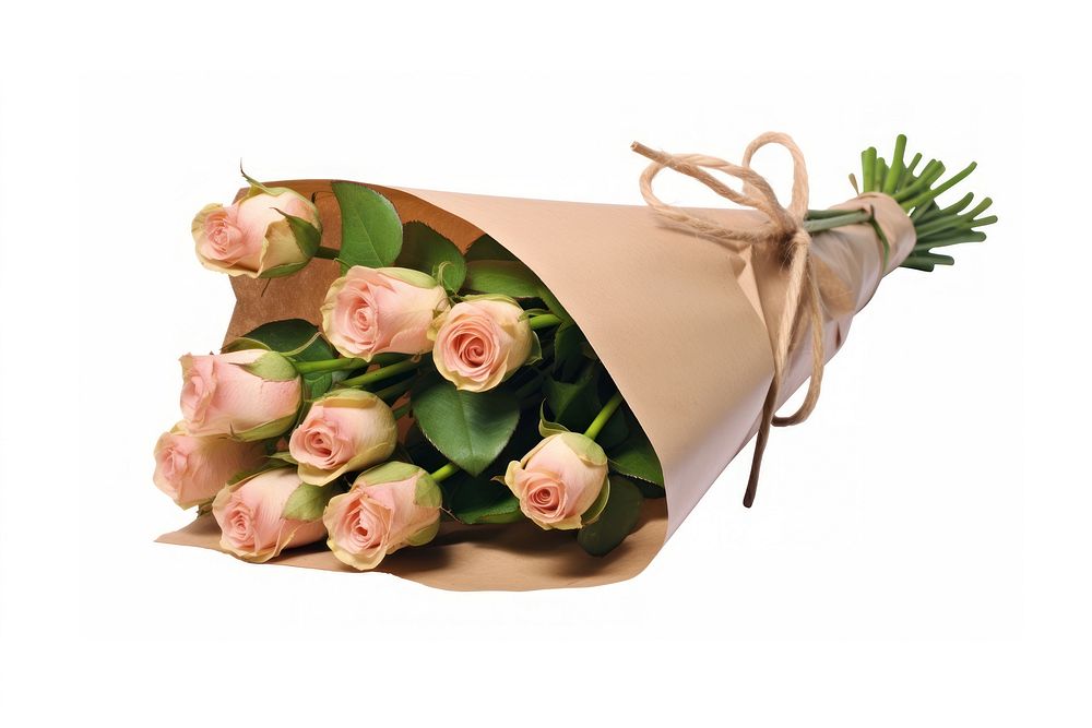 Bouquet of roses with craft paper wrapped cornet tied with a separate beige canvas ribbon flower plant white background.
