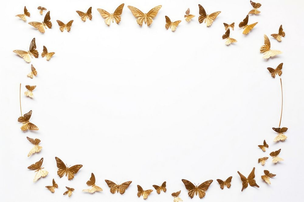 Butterflies border frame butterfly animal insect.