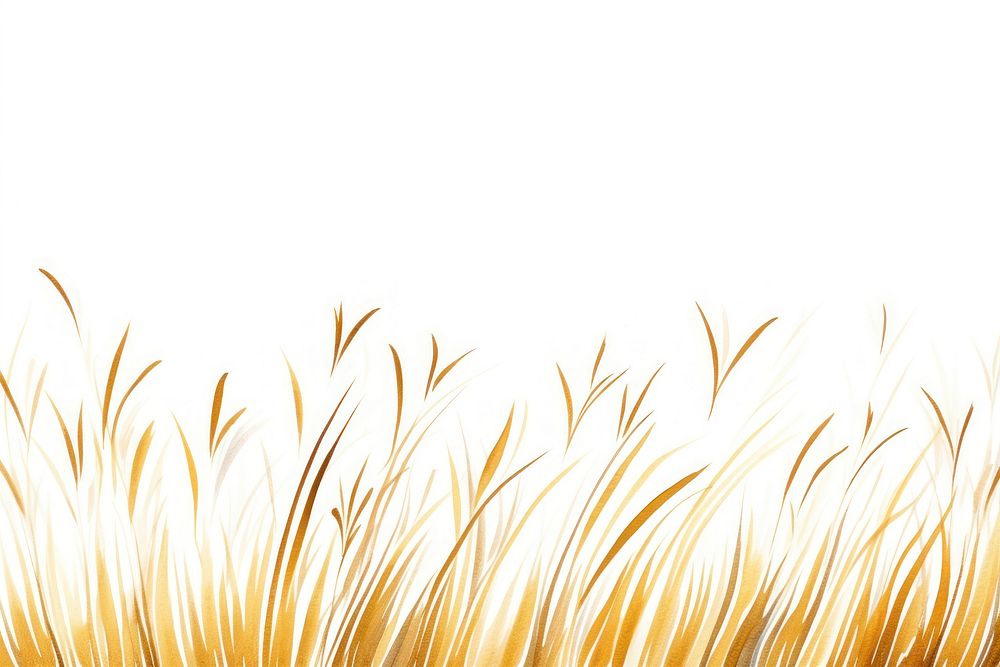 Grass border frame backgrounds outdoors nature.