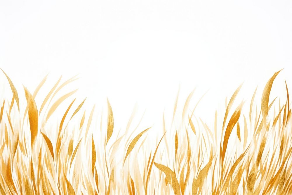 Grass border frame backgrounds outdoors plant.
