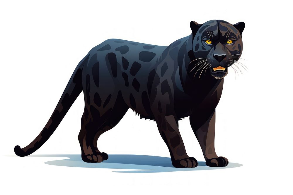 Black Jaguar mammal animal jaguar.