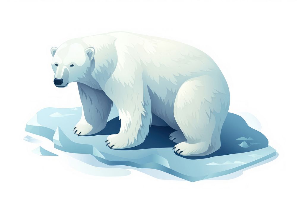 Ice bear wildlife animal mammal.