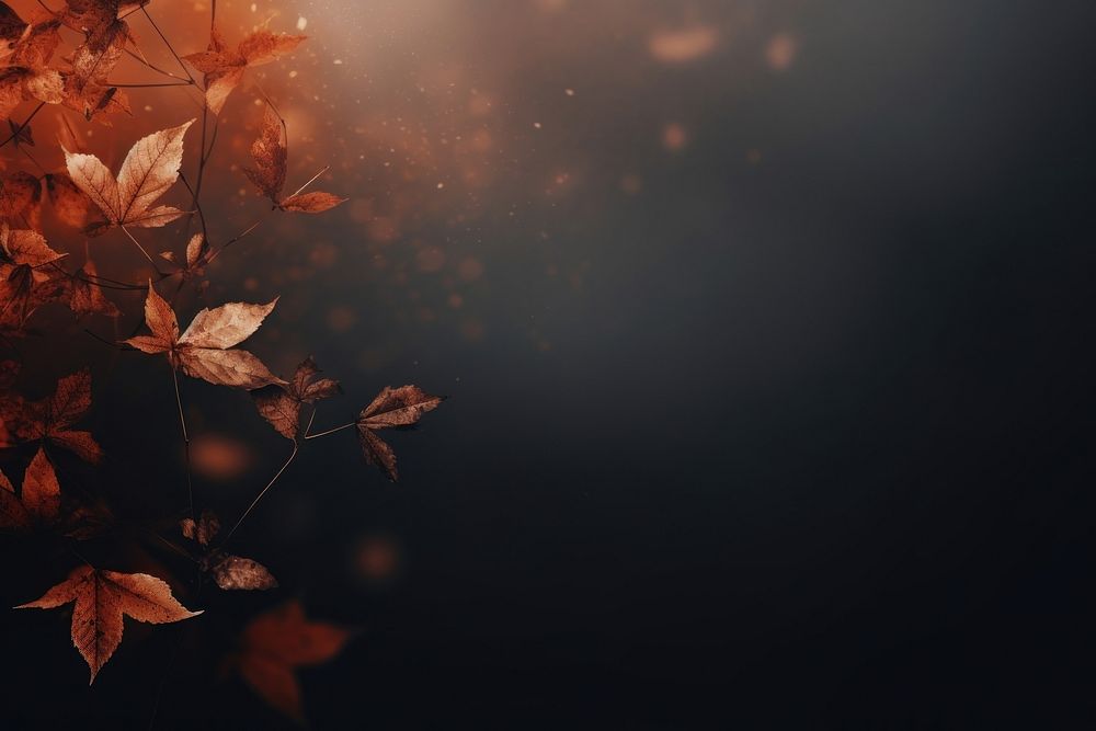 Dark autumn background backgrounds plant leaf.