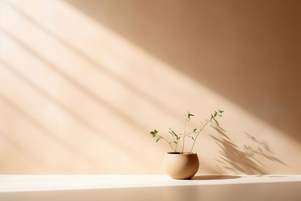 Beige wall simplicity windowsill plant.