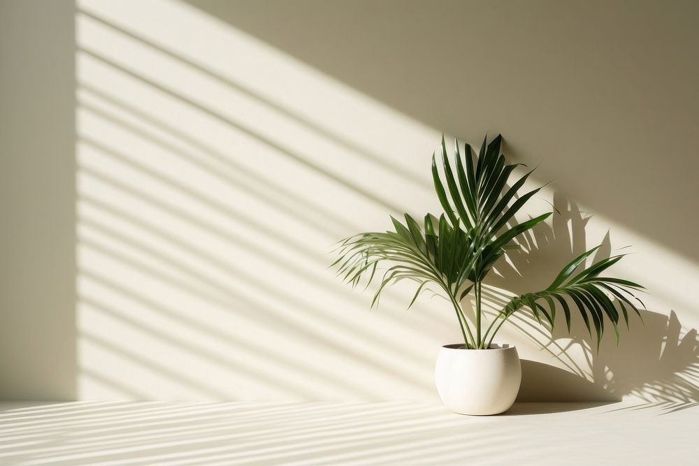 Plant shadow wall window leaf vase.