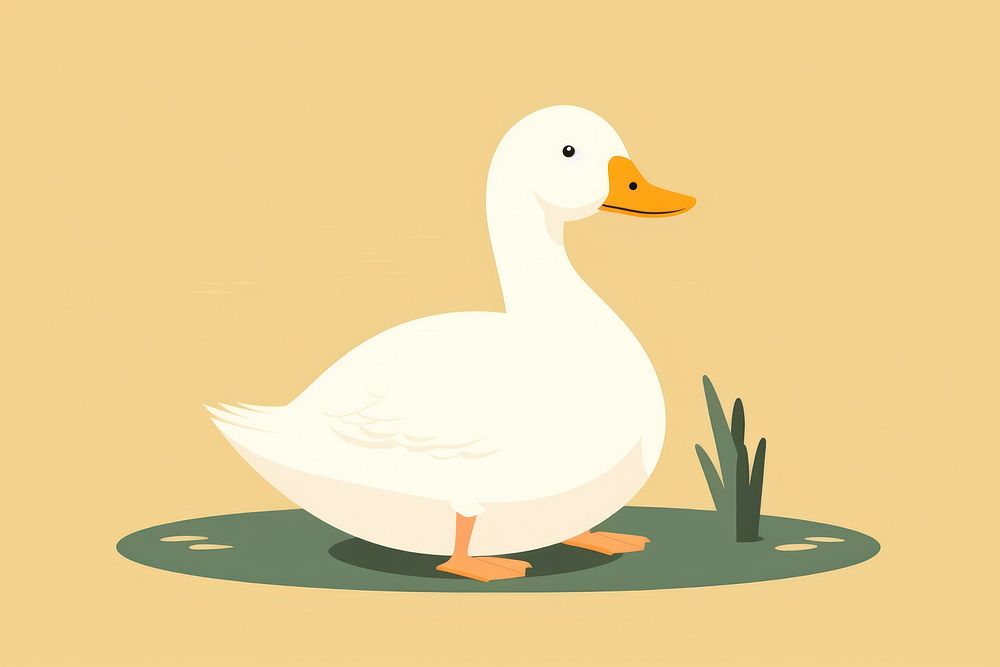 Duck duck animal goose.