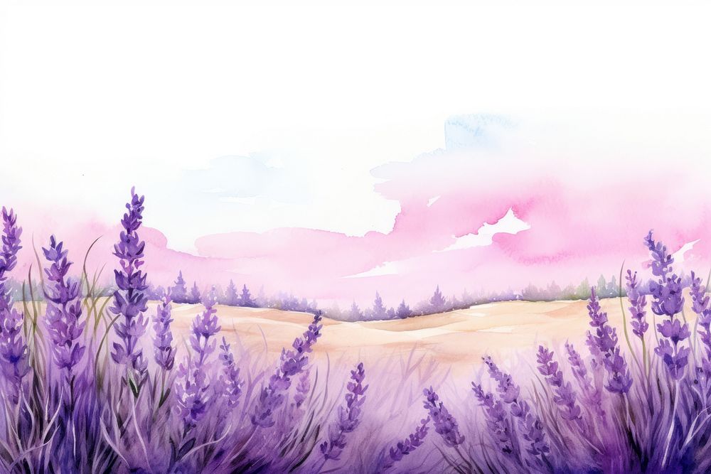 Lavender border landscape outdoors painting.