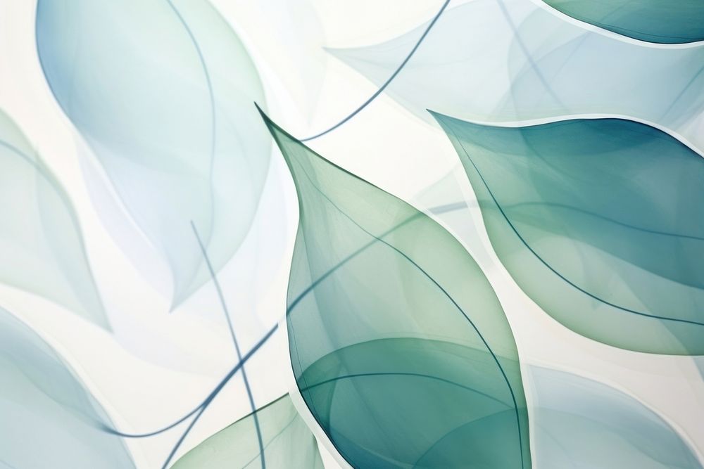 Eucalyptus leaves abstract shape backgrounds pattern plant.