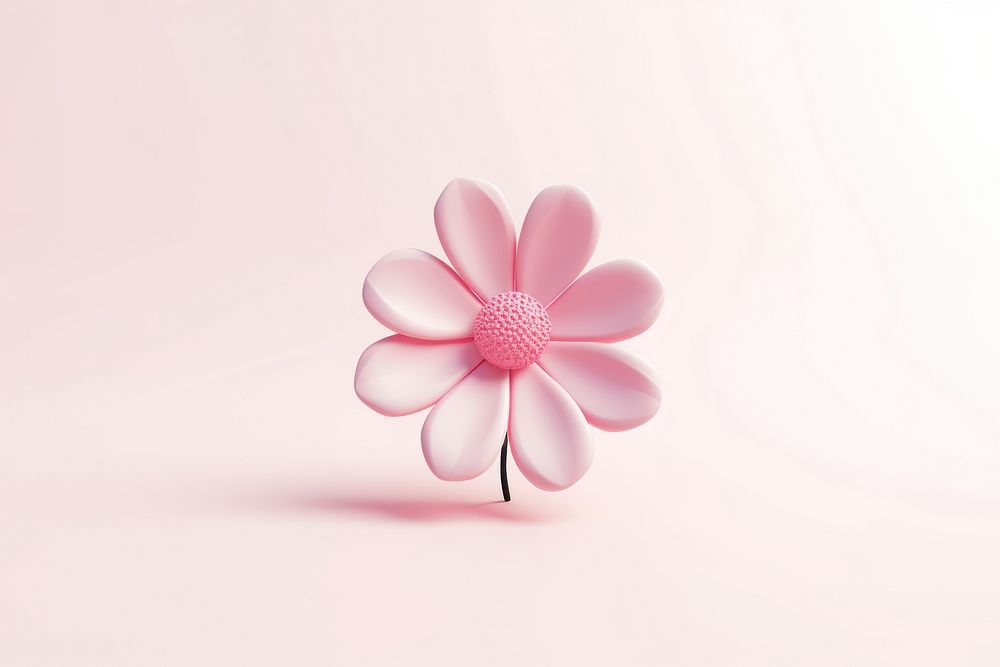 Pink flower blossom plant white.