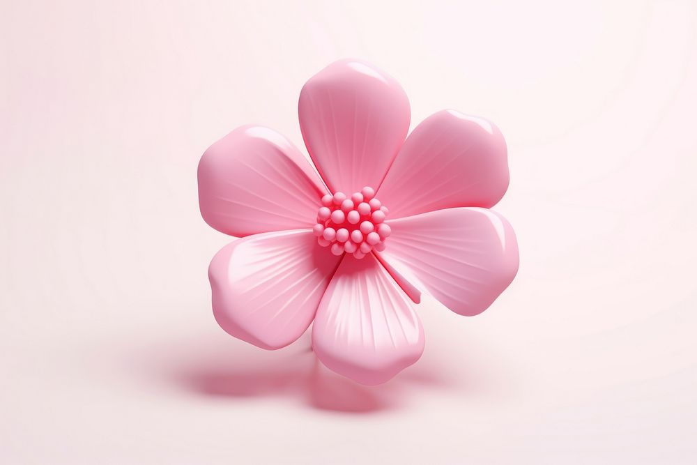 Pink flower blossom petal plant.