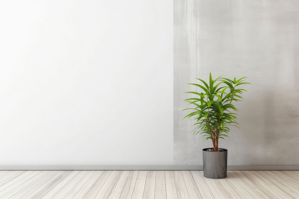 Modern office concrete wall plant indoors floor.
