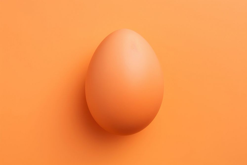 An egg orange color simplicity fragility.
