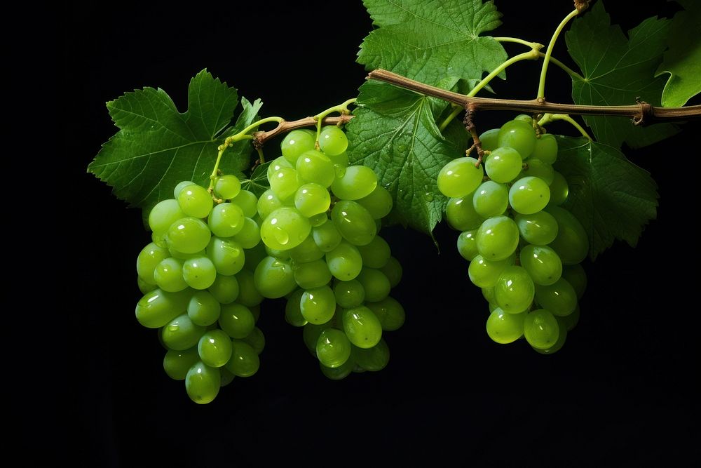 Green grapes on green background plant fruit vine.