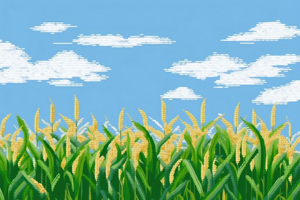 Cross stitch corn field agriculture landscape outdoors.