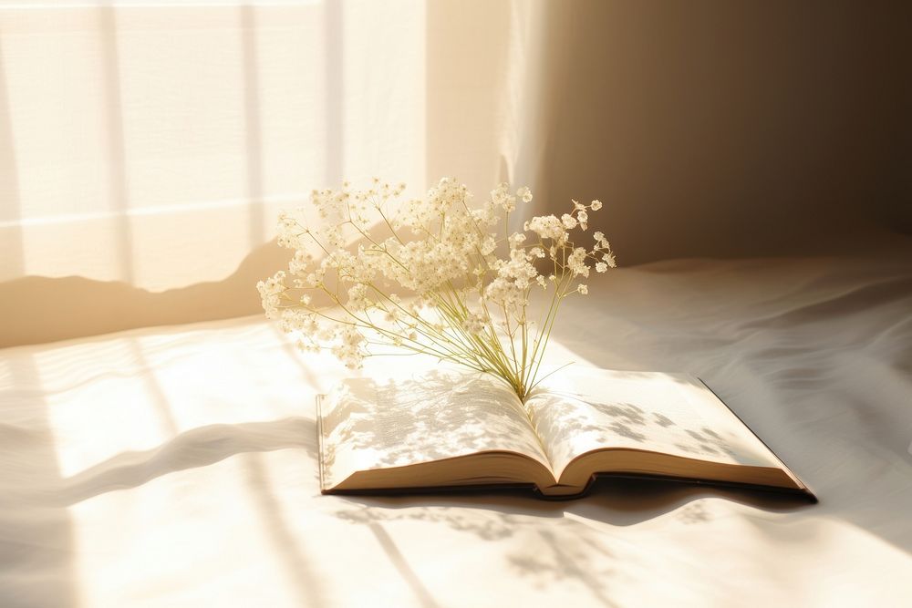 An open book sitting on top of a white sheet publication sunlight flower.