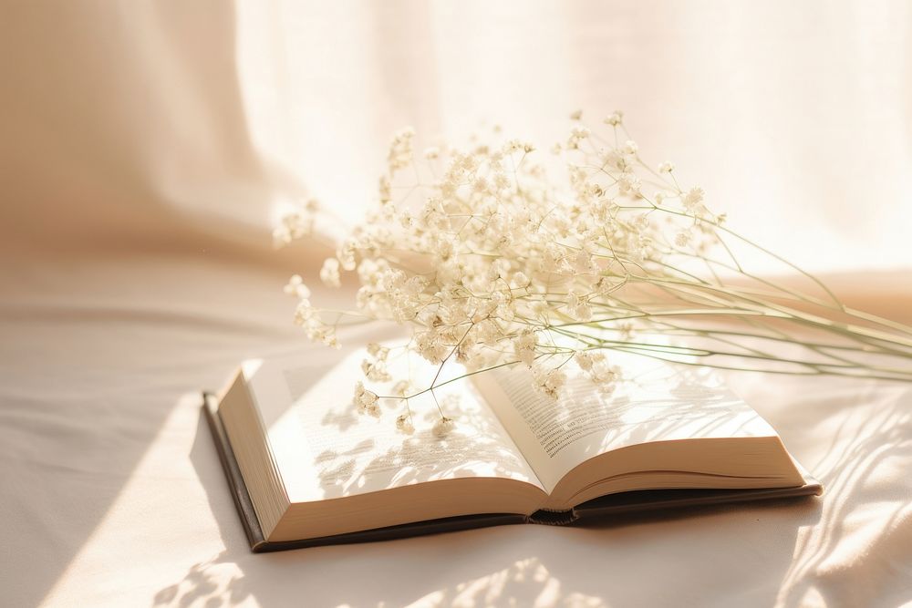 An open book sitting on top of a white sheet publication sunlight flower.
