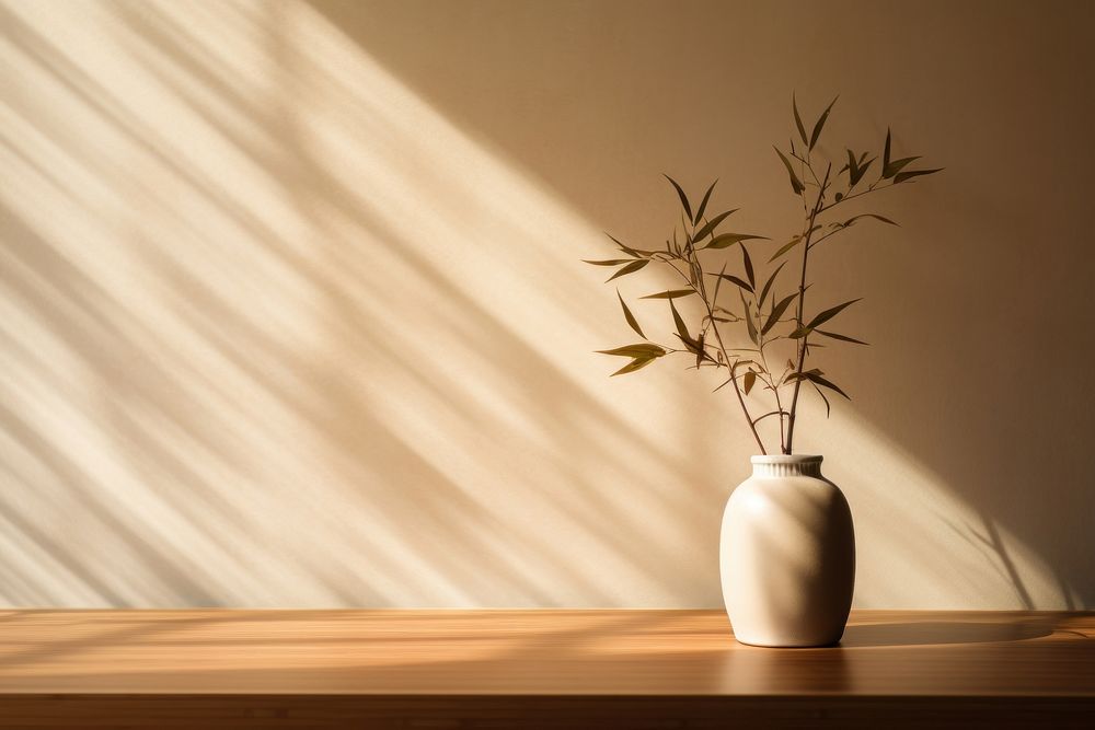 Bamboo in a cream vase shadow table plant.