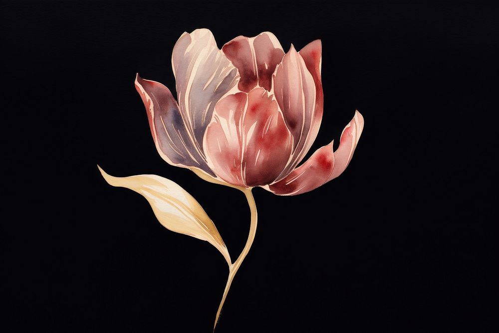 Tulip watercolor background painting flower petal.