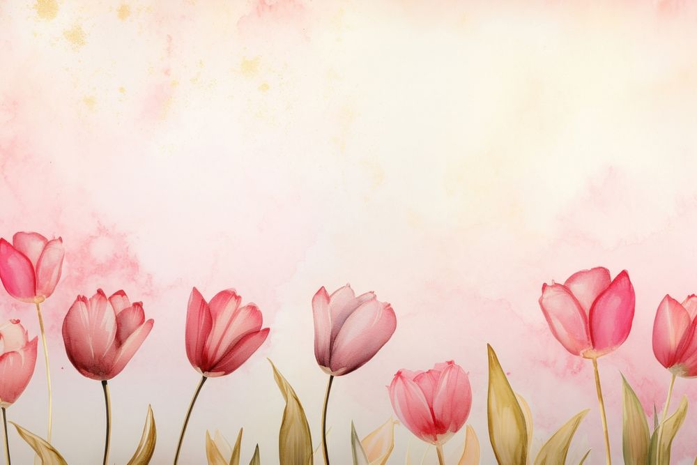 Tulip watercolor background backgrounds painting blossom.