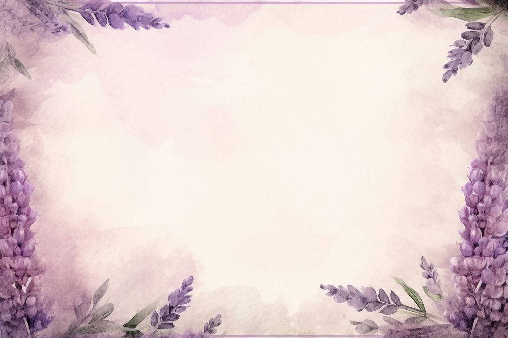 Lavender backgrounds flower purple.