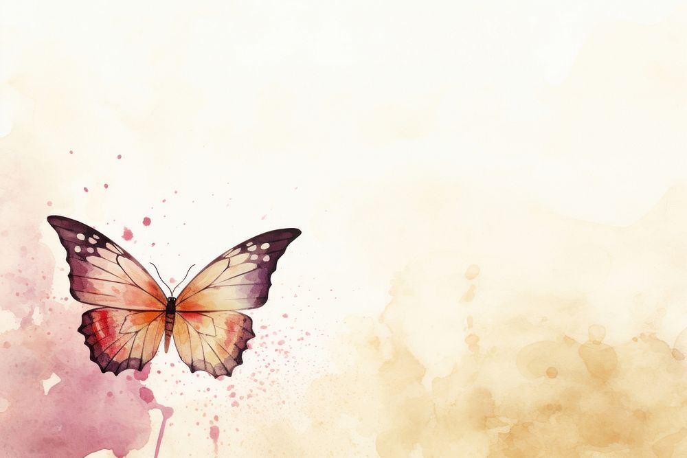 Tropical Butterfly minimal background butterfly painting insect.