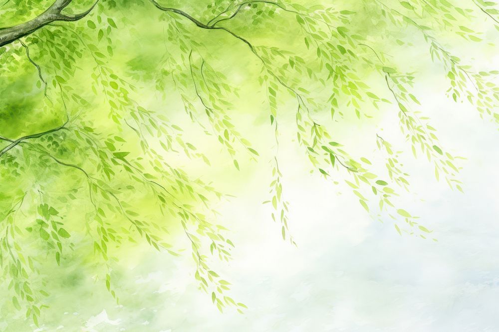 Background willow tree backgrounds outdoors nature.