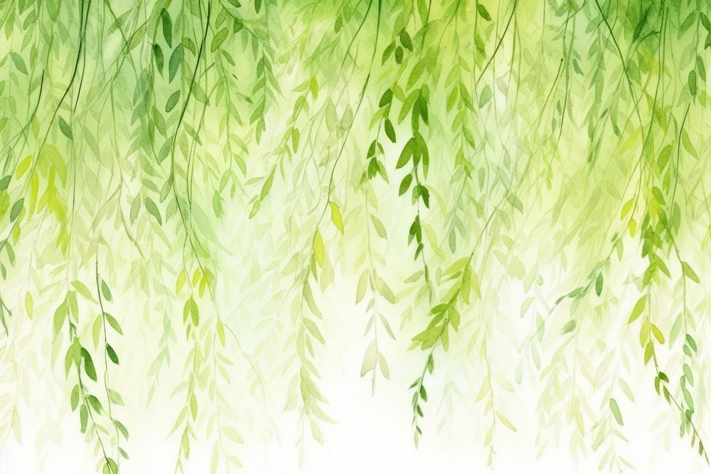 Background willow tree backgrounds plant green.